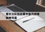 金年会下载-关于爱尔兰队在比赛中奋力拼搏精神可嘉的信息
